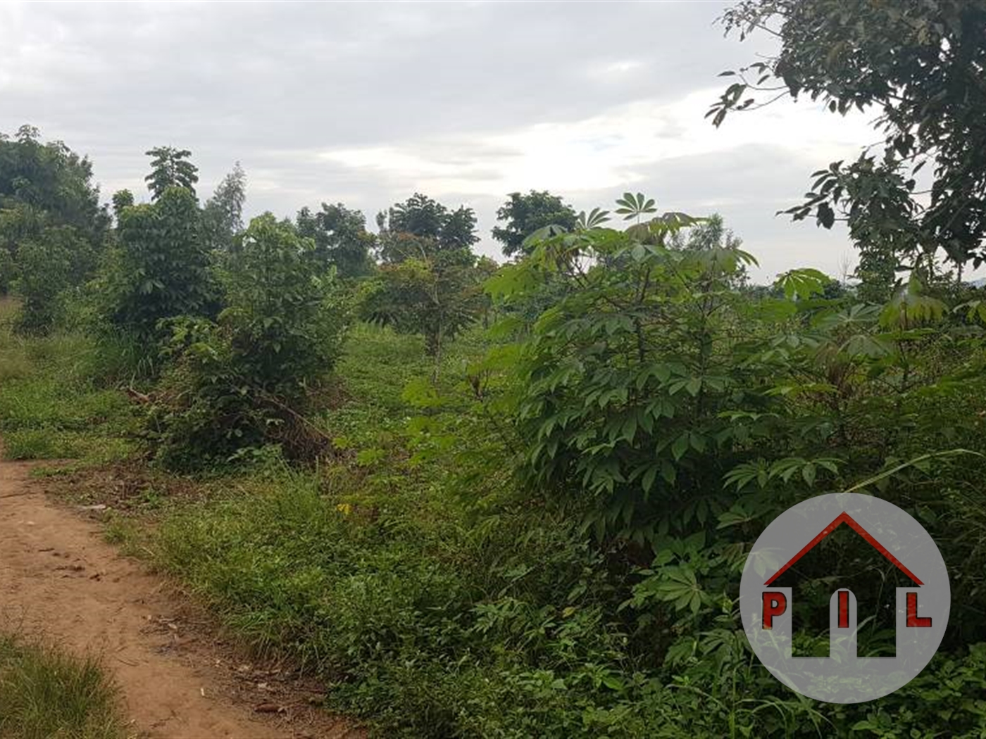 Agricultural Land for sale in Kiwenda Wakiso