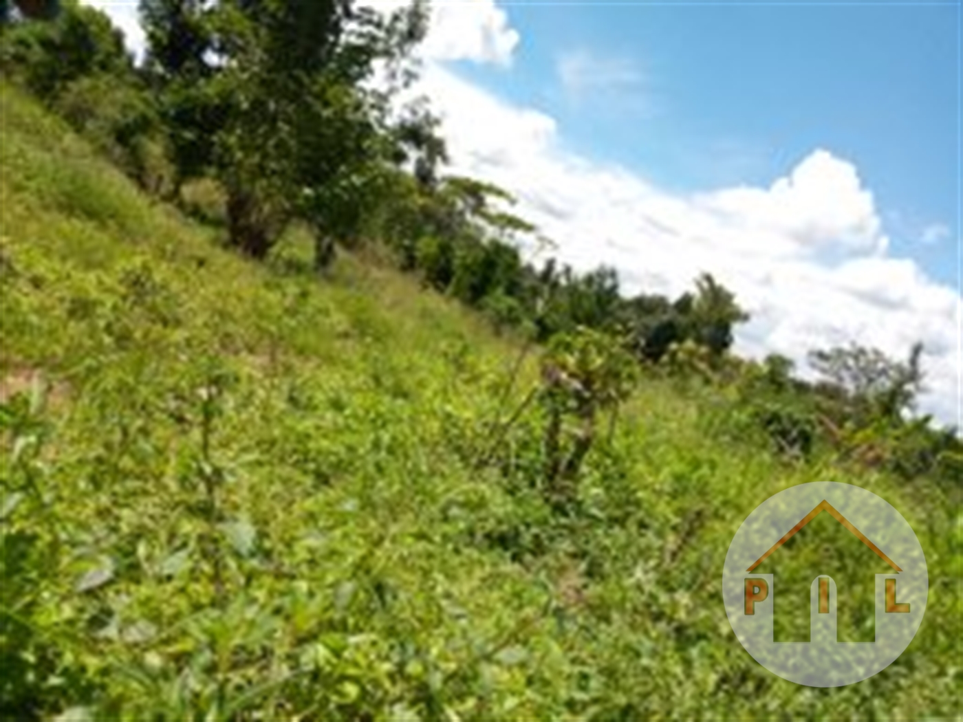 Agricultural Land for sale in Kiwenda Wakiso