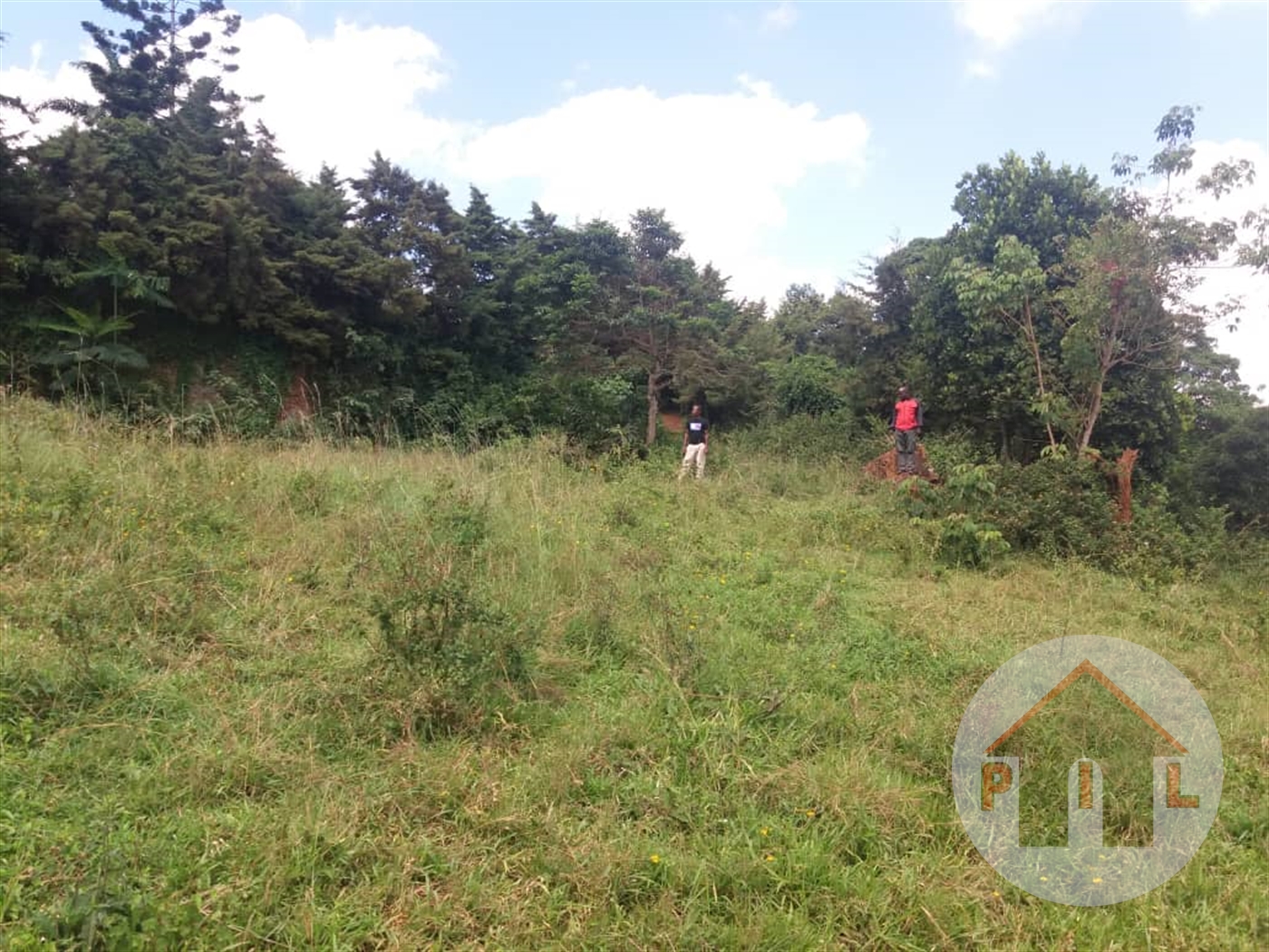 Residential Land for sale in Buziga Wakiso