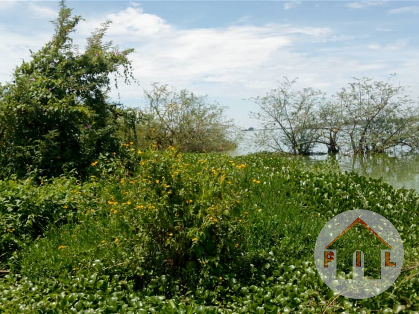 Agricultural Land for sale in Nkokonjeru Masaka