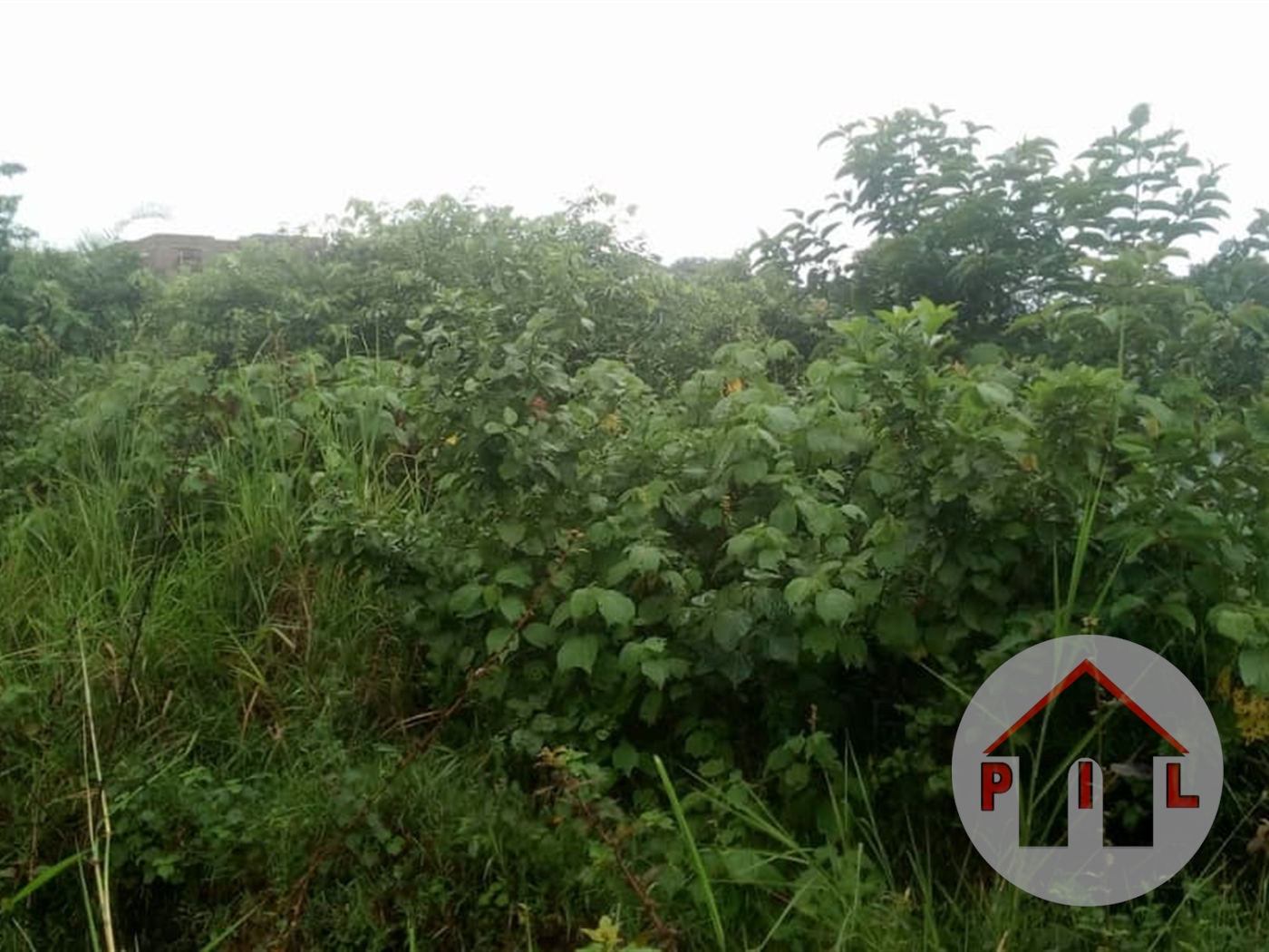 Residential Land for sale in Magere Wakiso