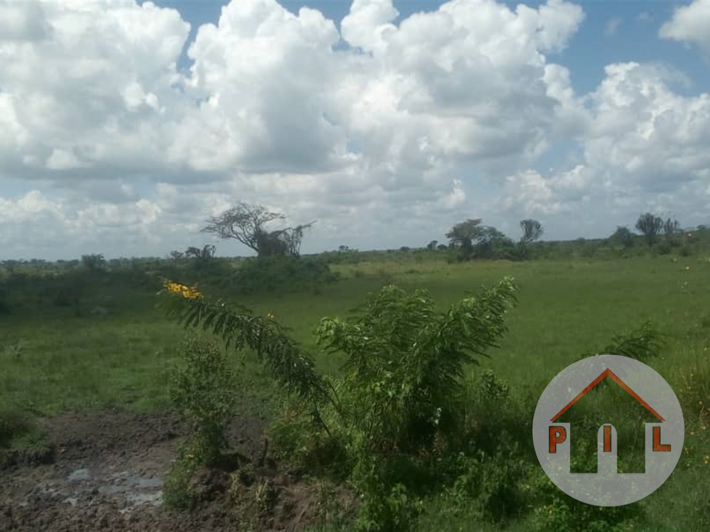 Multipurpose Land for sale in Wakyato Nakaseke