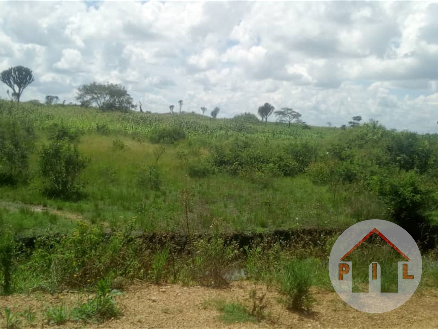 Multipurpose Land for sale in Wakyato Nakaseke