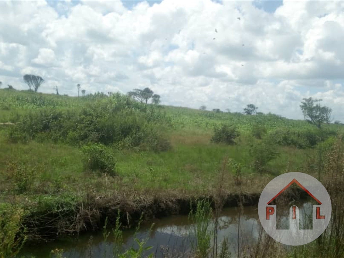 Multipurpose Land for sale in Wakyato Nakaseke