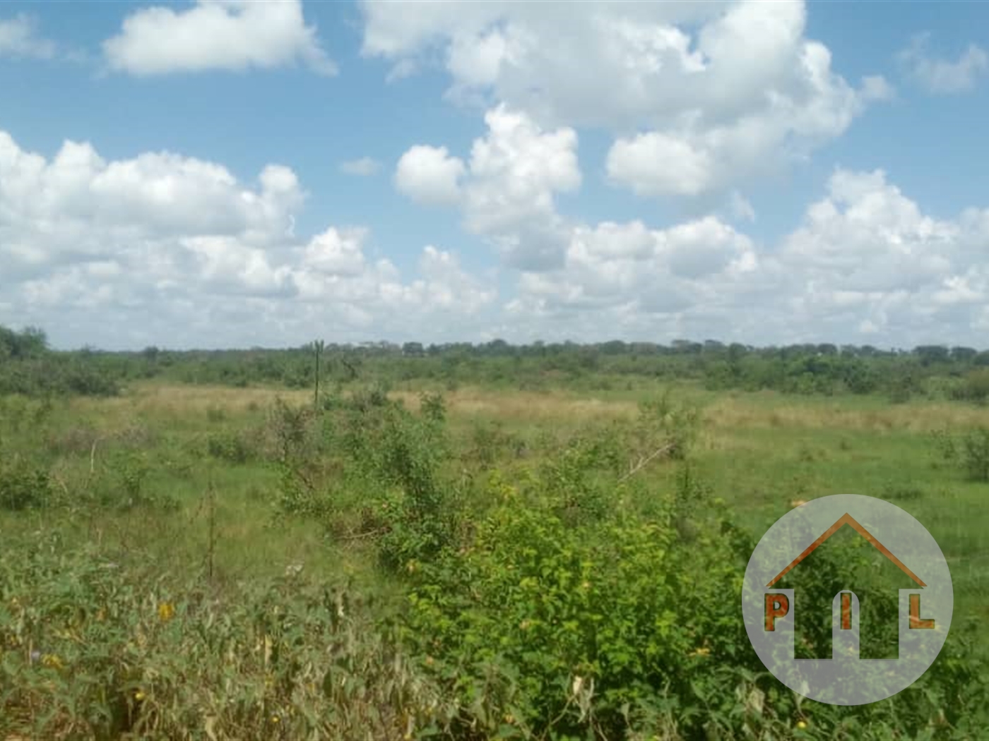 Multipurpose Land for sale in Wakyato Nakaseke