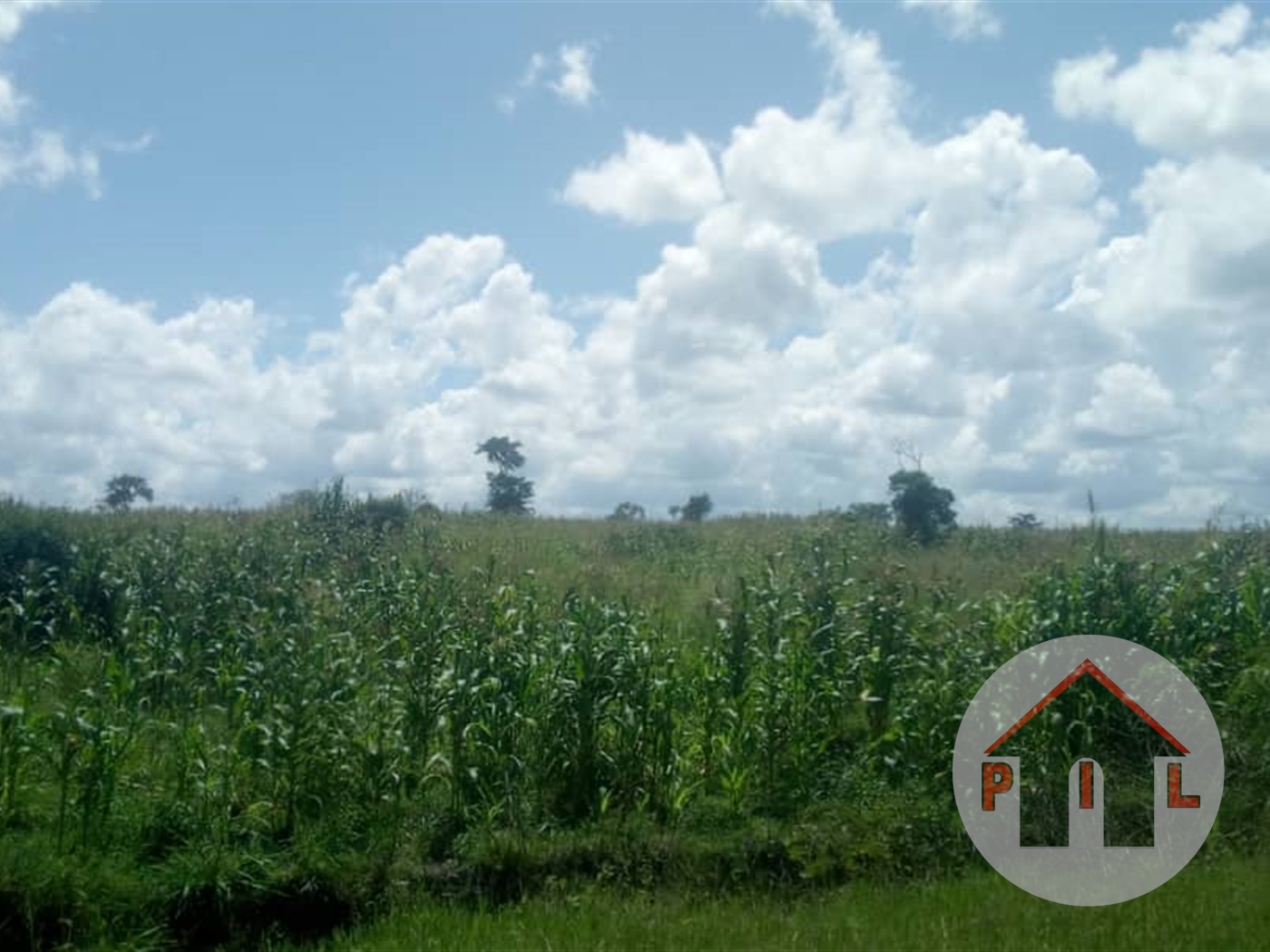 Multipurpose Land for sale in Wakyato Nakaseke