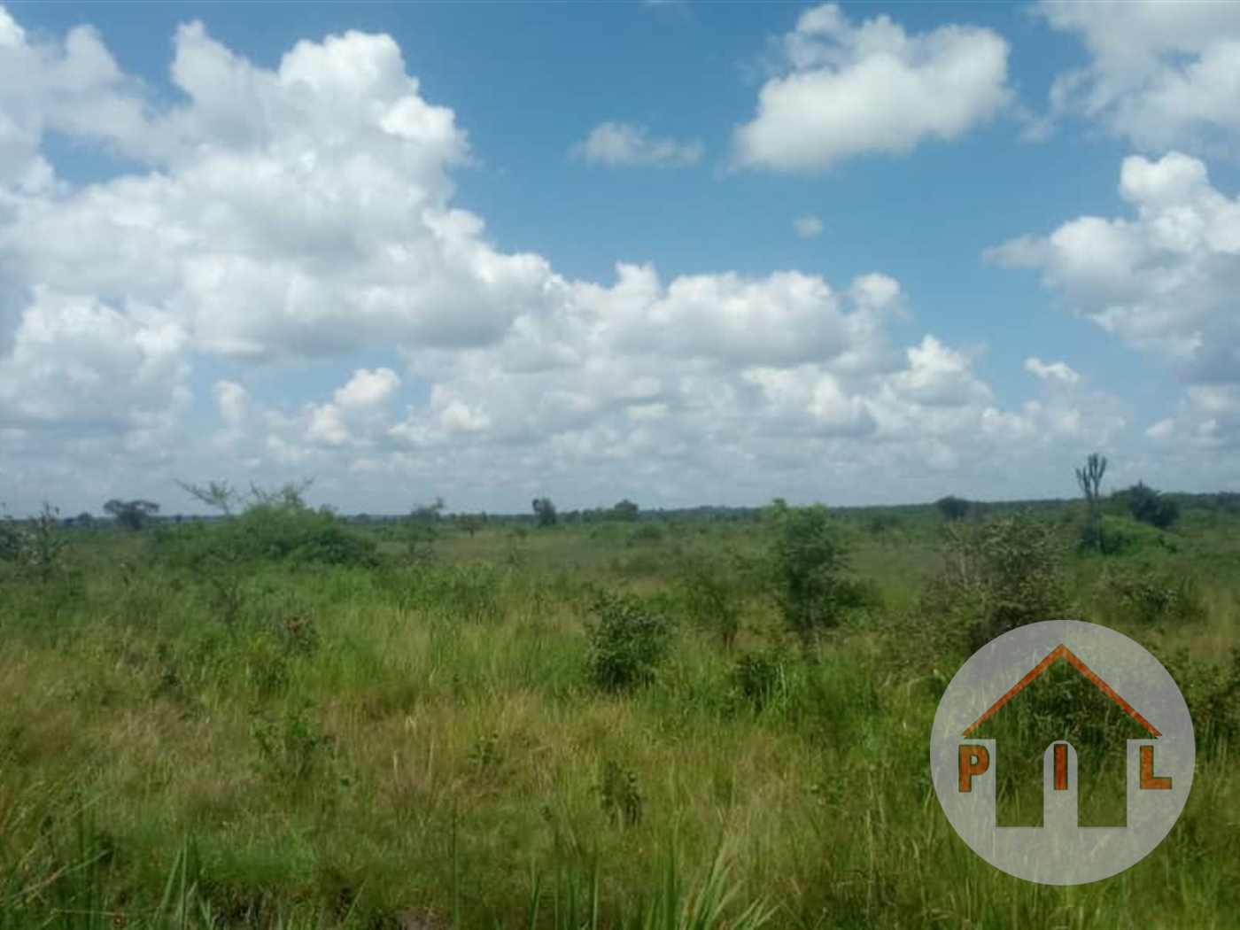 Multipurpose Land for sale in Wakyato Nakaseke