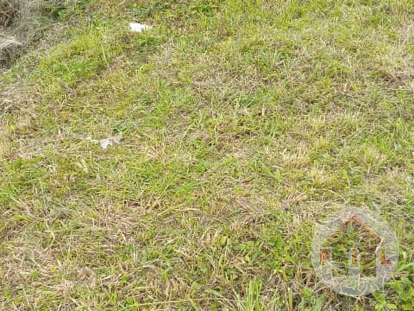 Agricultural Land for sale in Bulami Wakiso