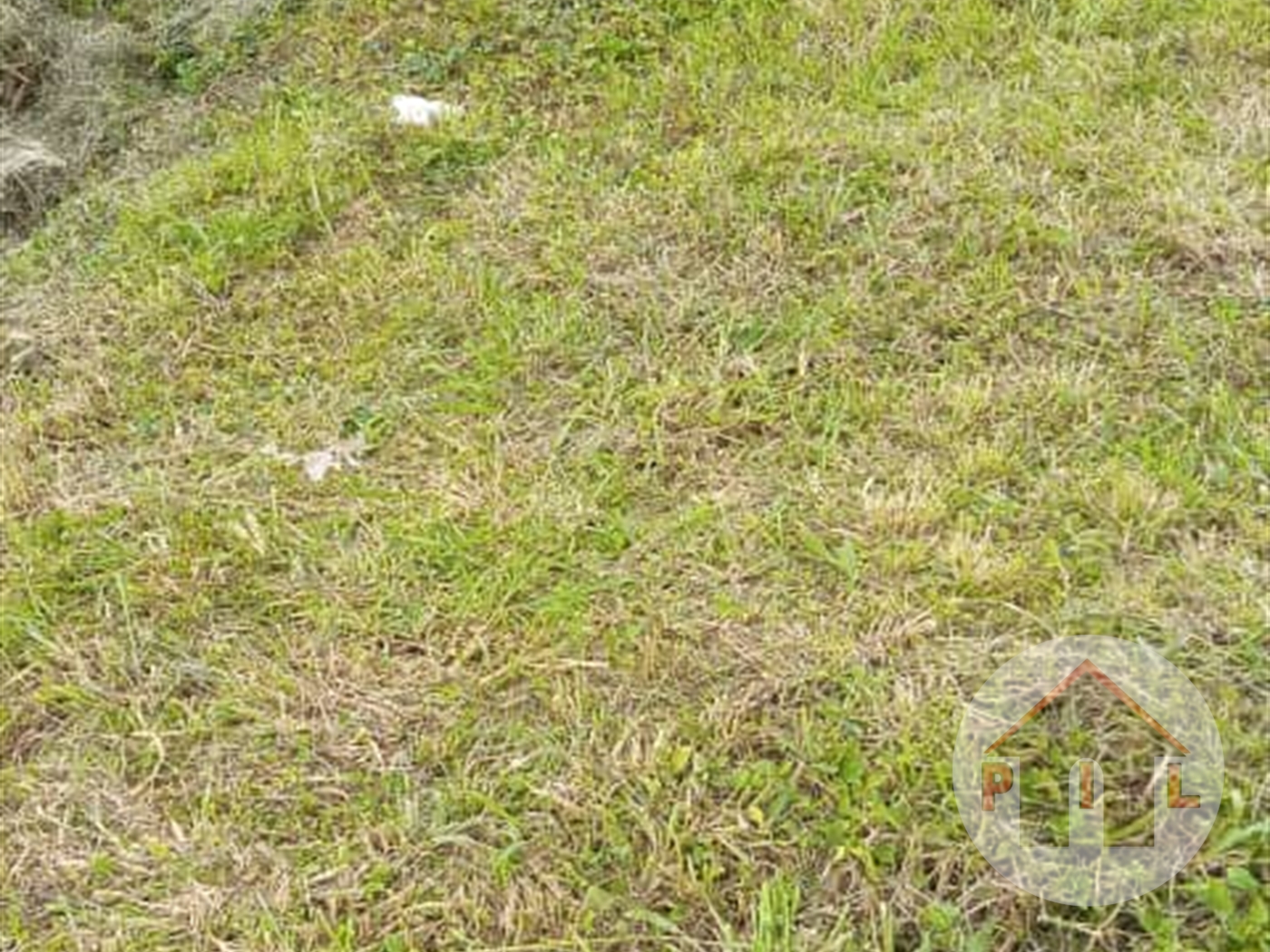 Agricultural Land for sale in Bulami Wakiso