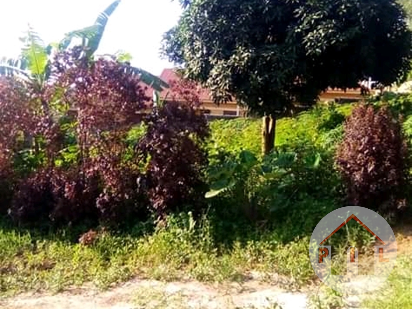 Residential Land for sale in Komamboga Wakiso