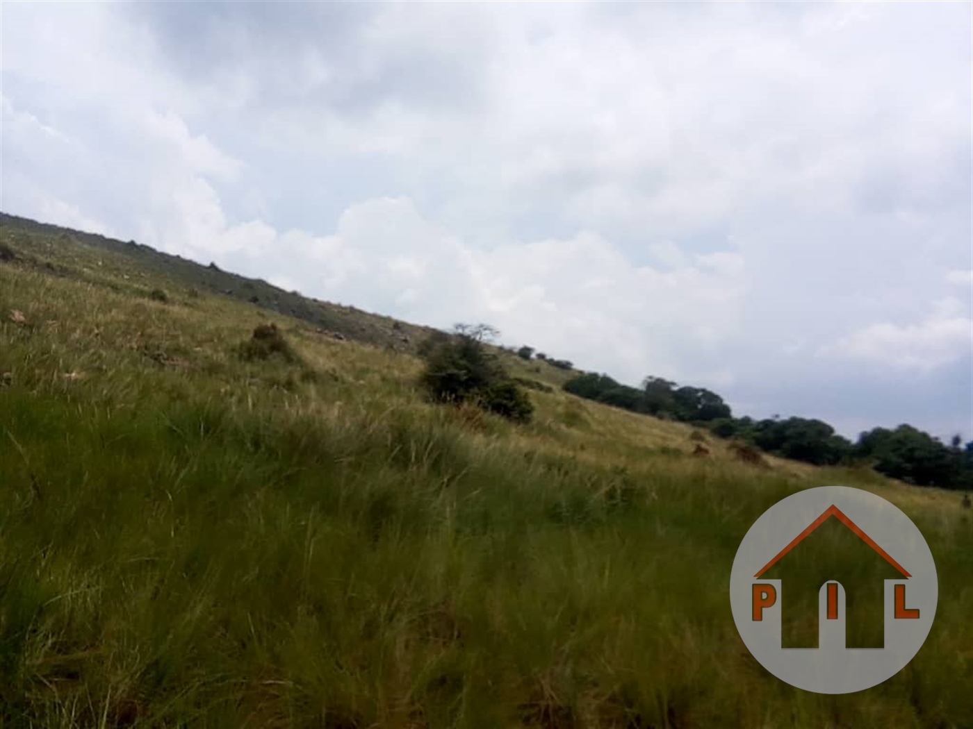 Agricultural Land for sale in Kawuku Wakiso