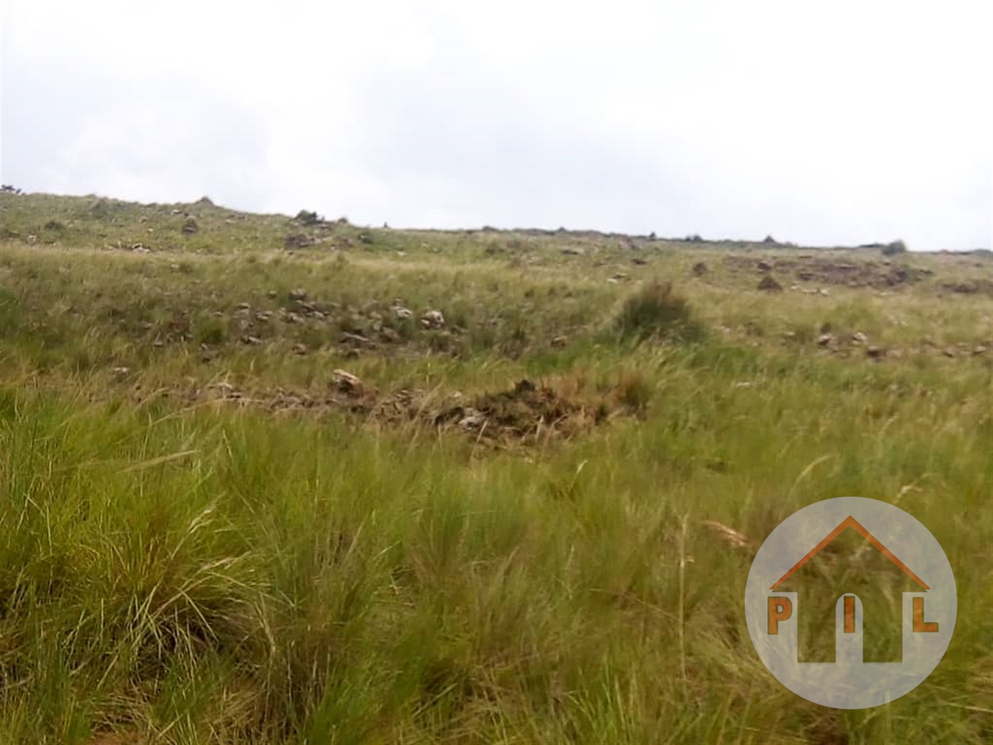 Agricultural Land for sale in Kawuku Wakiso