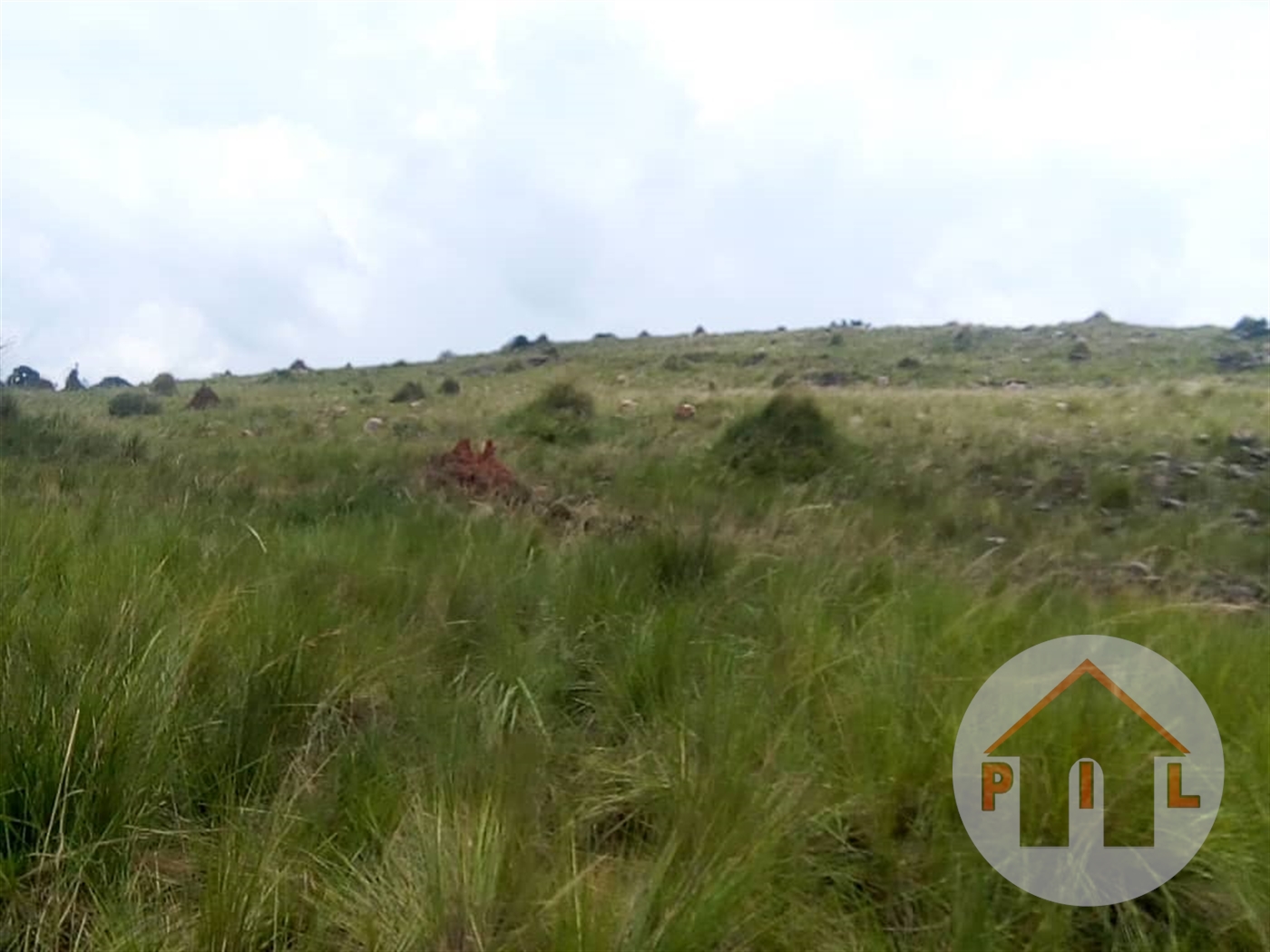 Agricultural Land for sale in Kawuku Wakiso