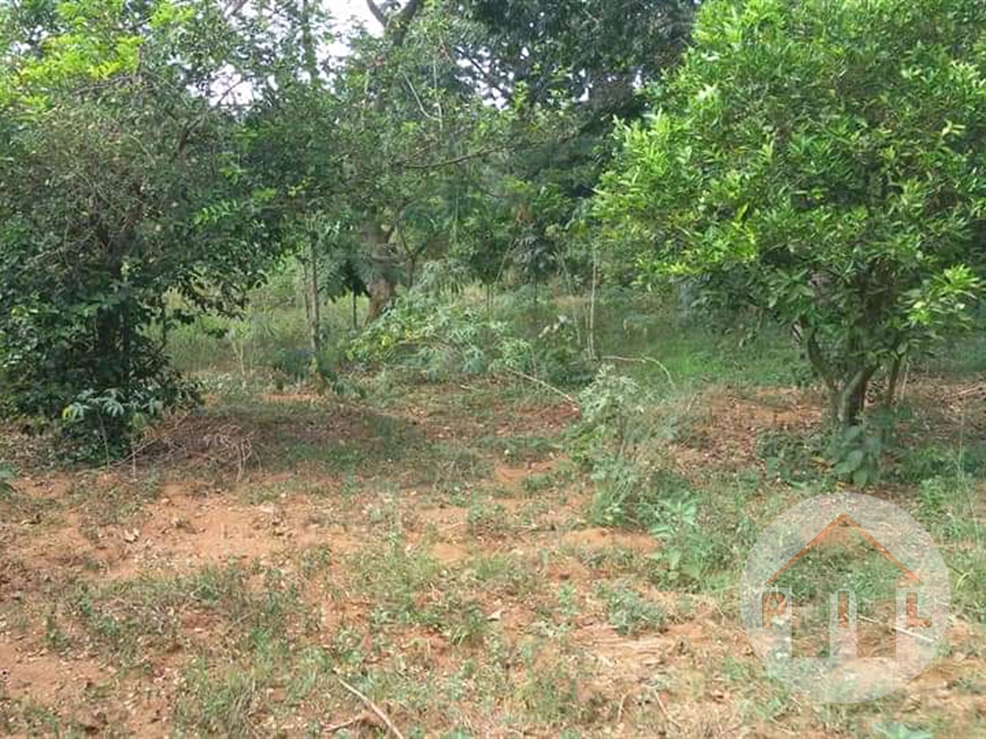 Agricultural Land for sale in Lukaya Kayunga