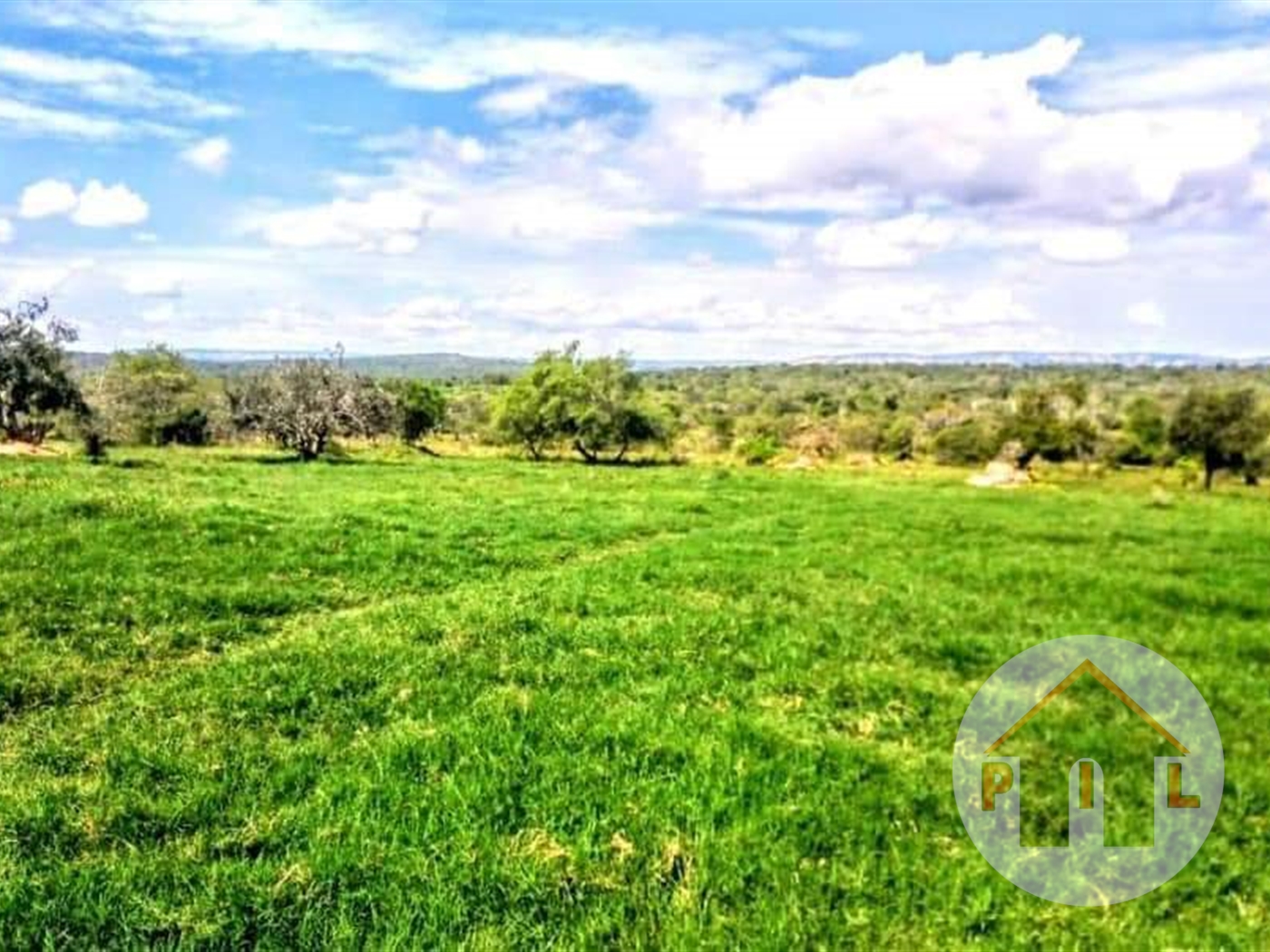 Residential Land for sale in Bukalasa Luweero