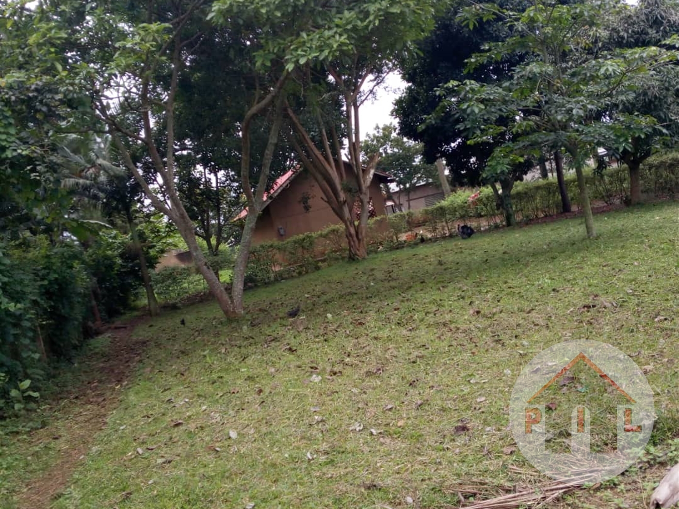 Agricultural Land for sale in Nkokonjeru Mukono