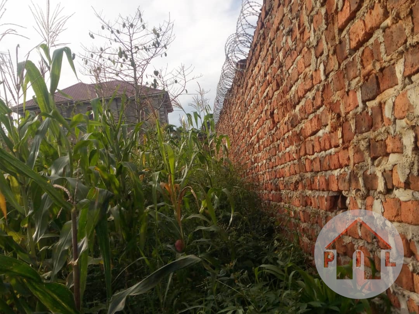 Residential Land for sale in Seeta Mukono