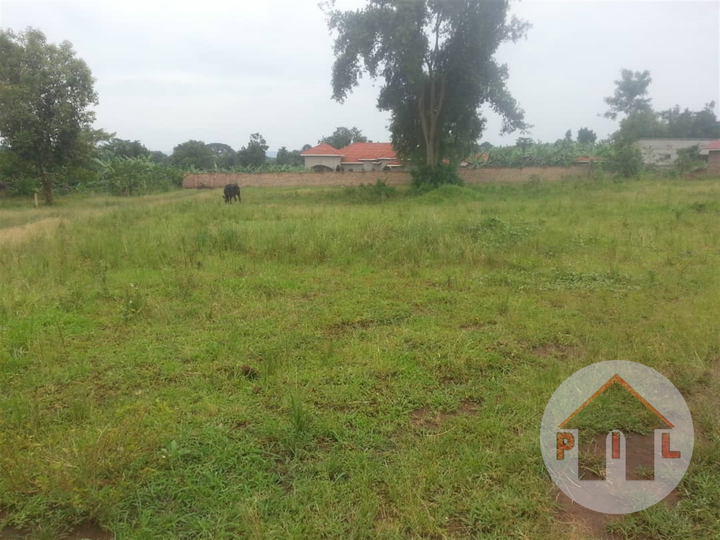 Residential Land for sale in Kiwenda Masaka