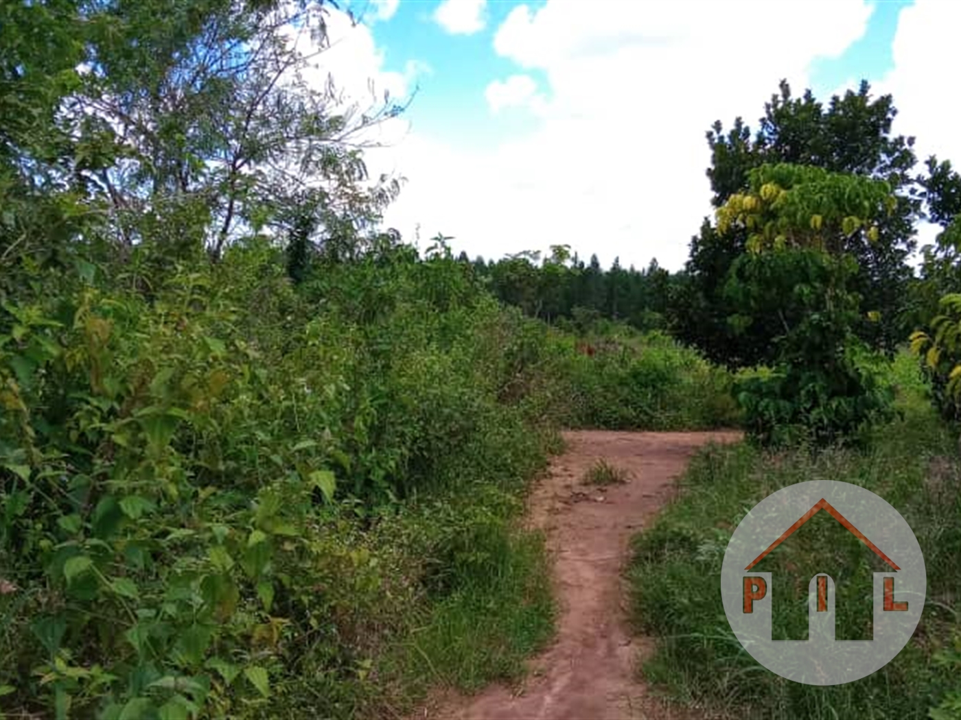 Residential Land for sale in Akright Wakiso