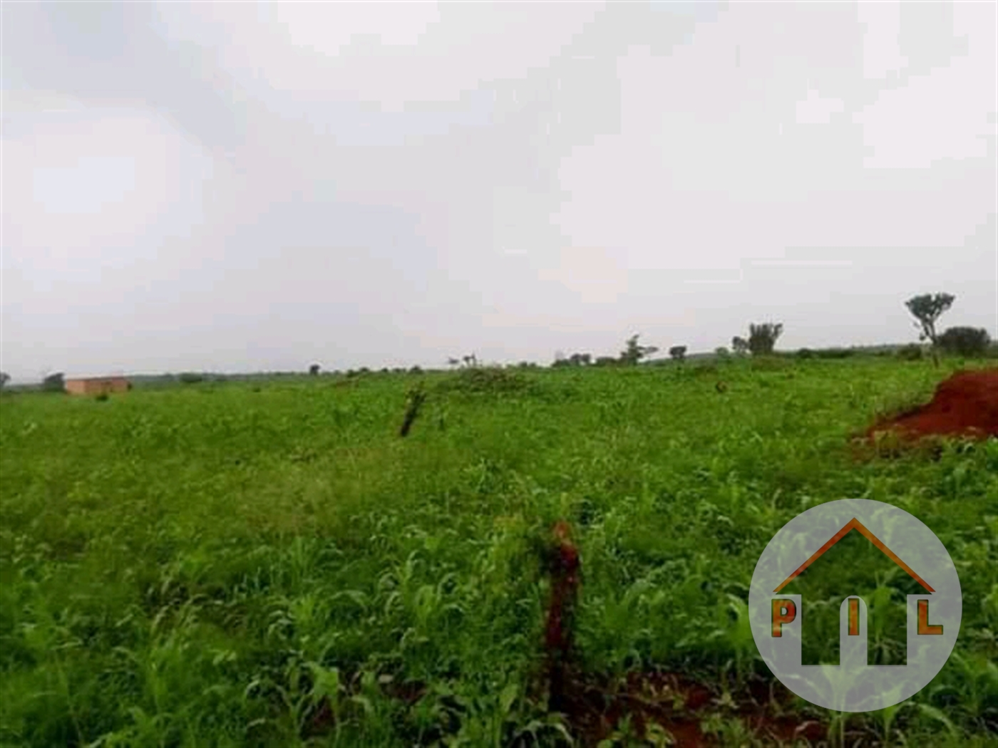 Agricultural Land for sale in Galilaya Kayunga