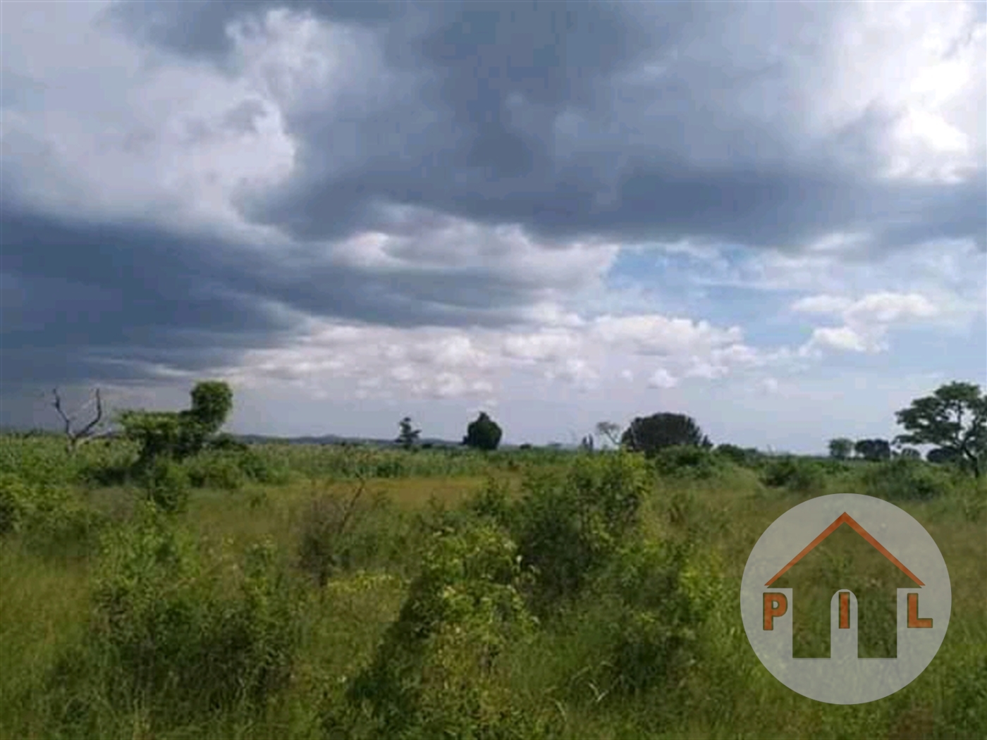 Agricultural Land for sale in Galilaya Kayunga