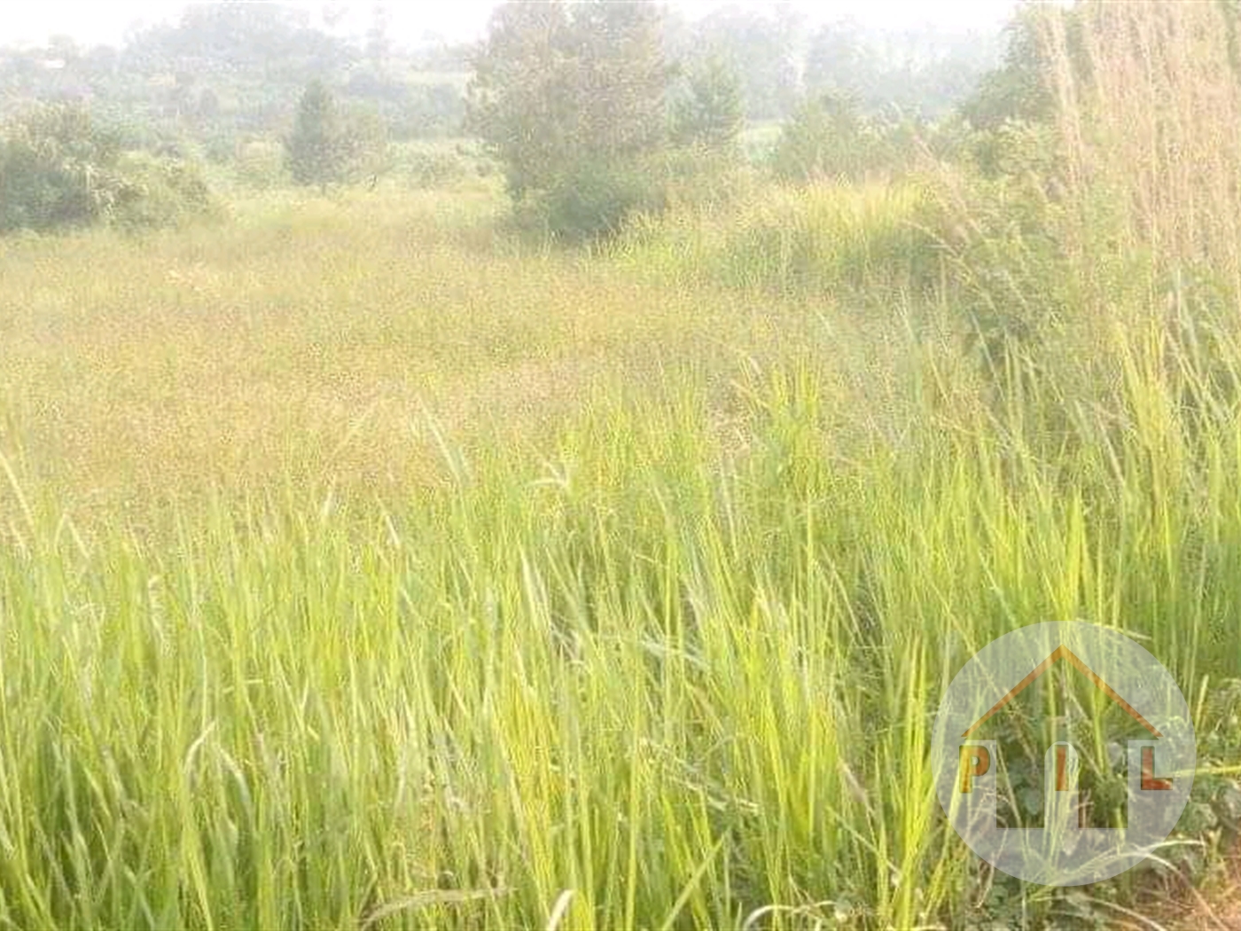 Residential Land for sale in Nakabago Mukono