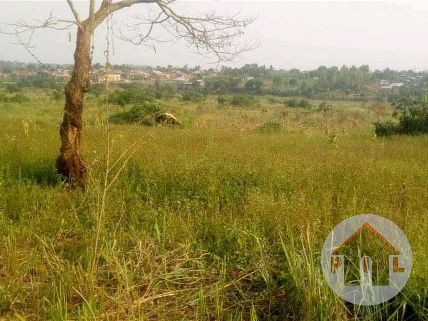 Residential Land for sale in Nakabago Mukono