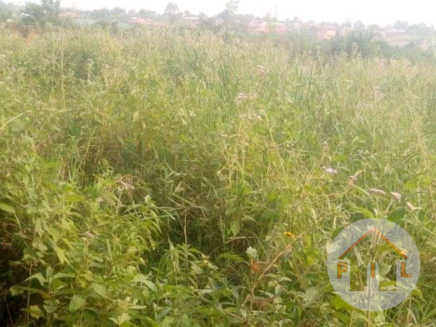 Residential Land for sale in Nakabago Mukono