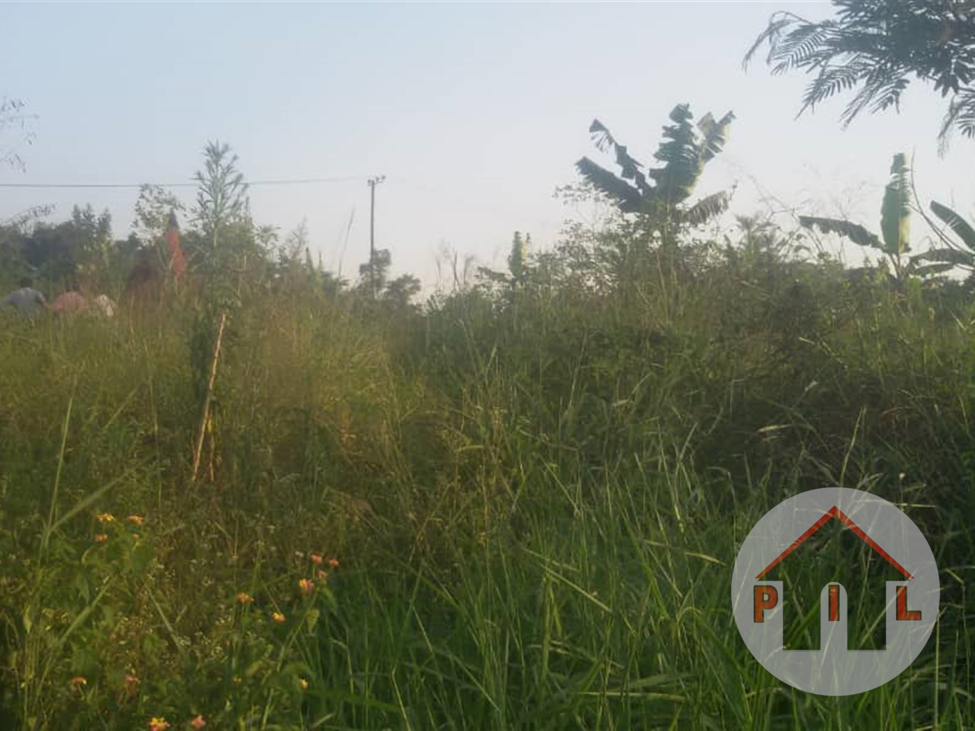 Agricultural Land for sale in Matugga Wakiso