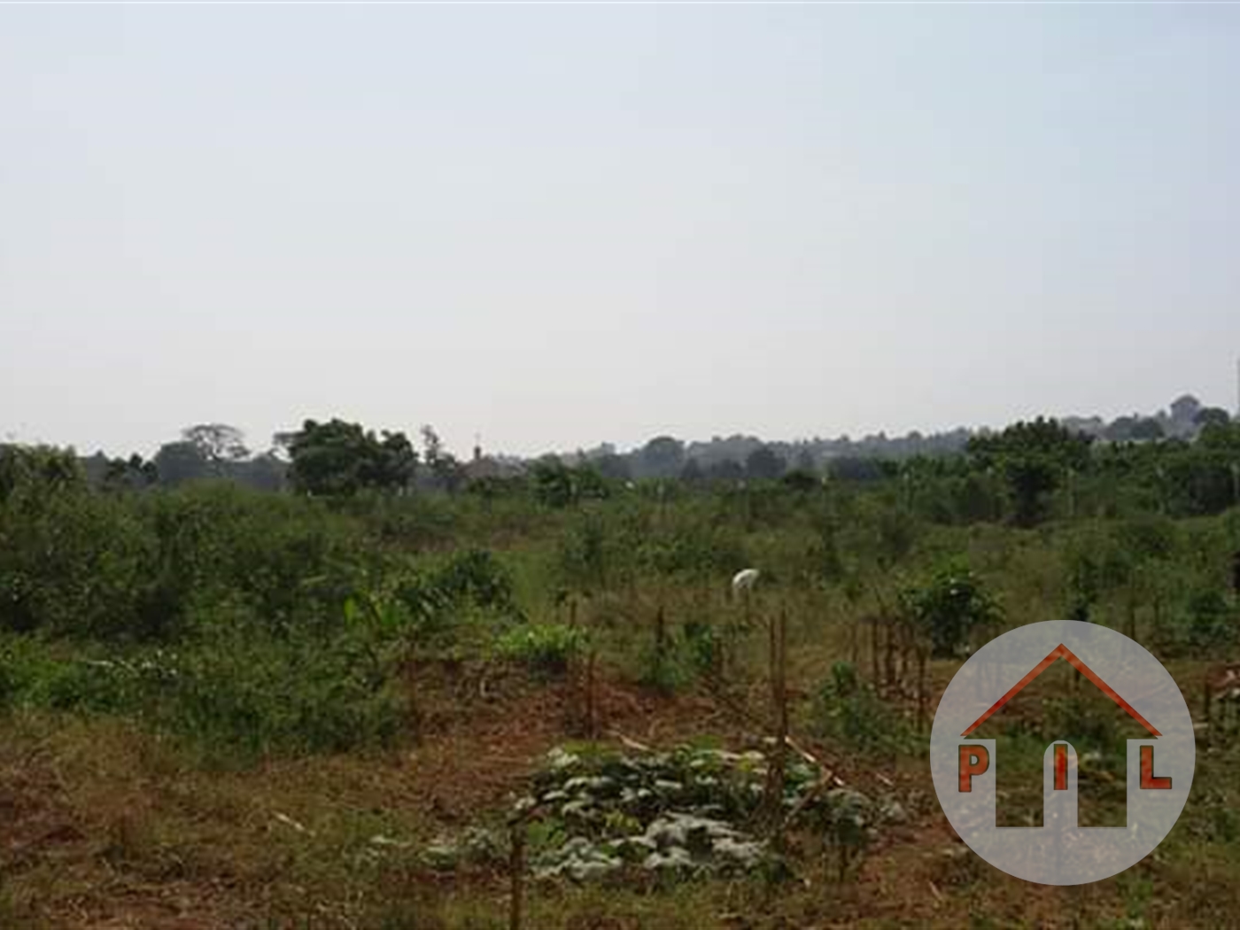 Agricultural Land for sale in Bombo Luwero