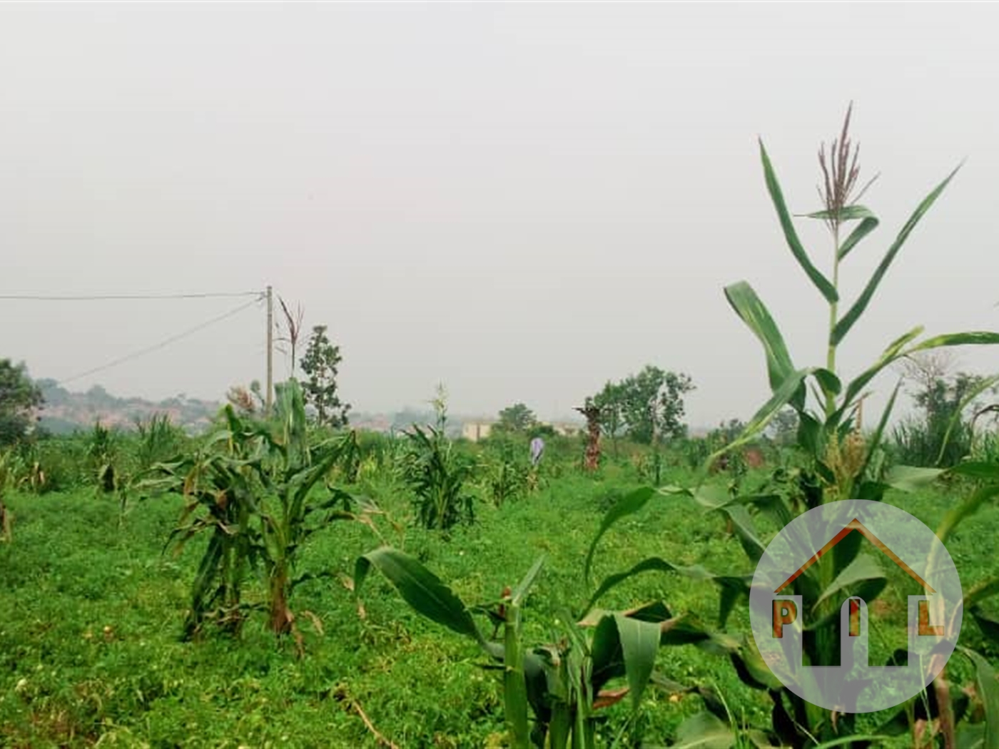 Agricultural Land for sale in Bweyogerere Wakiso