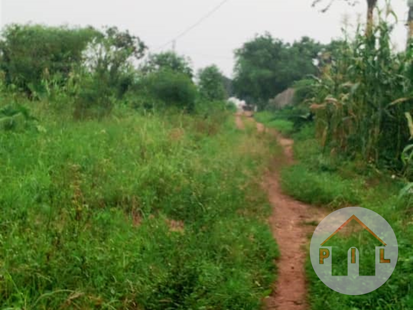 Agricultural Land for sale in Bweyogerere Wakiso