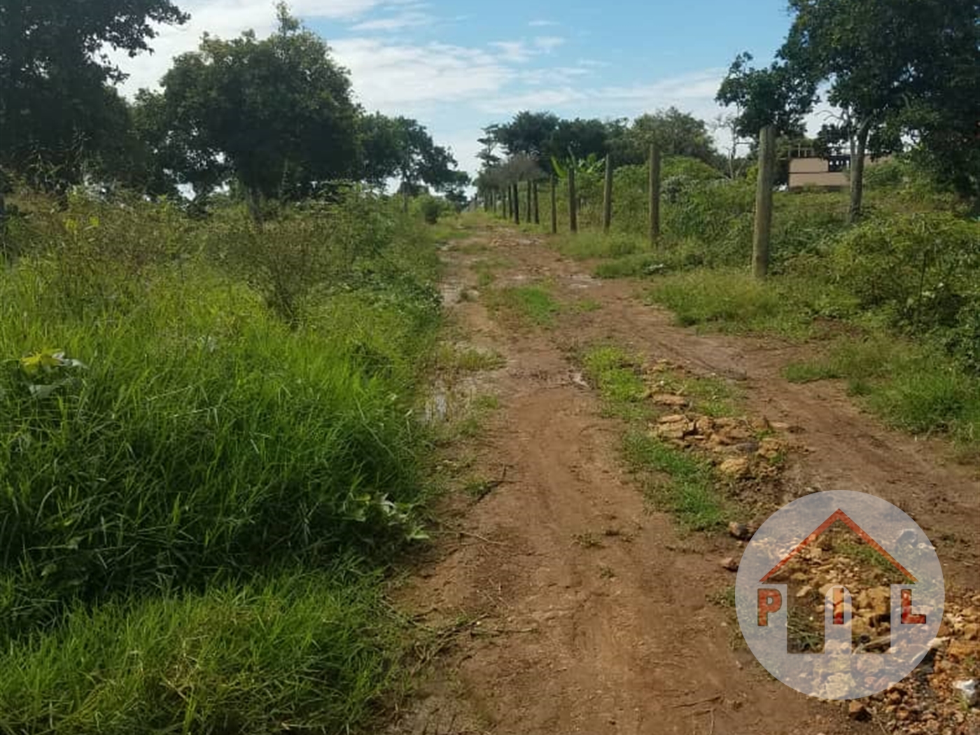 Agricultural Land for sale in Kasanjje Wakiso