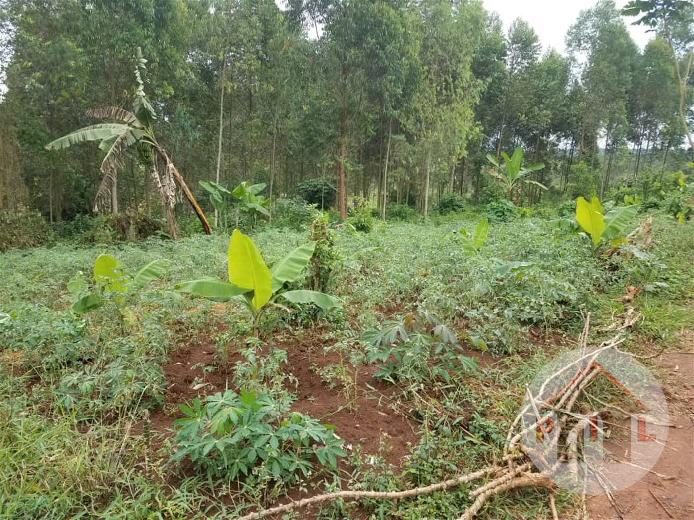 Commercial Land for sale in Nakawuka Wakiso