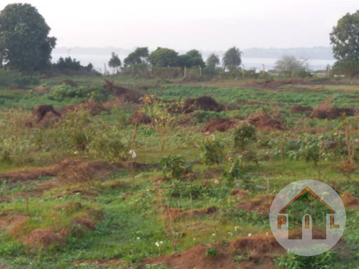 Residential Land for sale in Manyangwa Wakiso