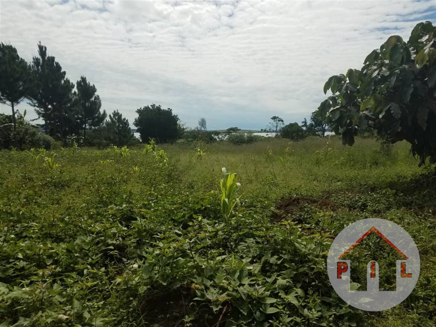 Residential Land for sale in Kawuku Wakiso