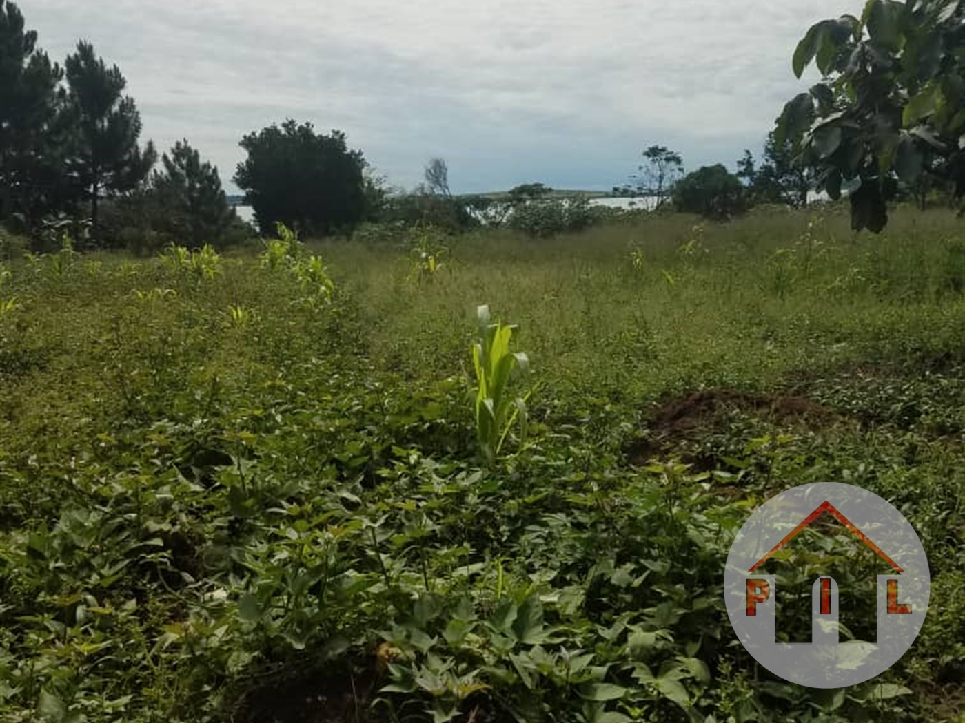 Residential Land for sale in Kawuku Wakiso