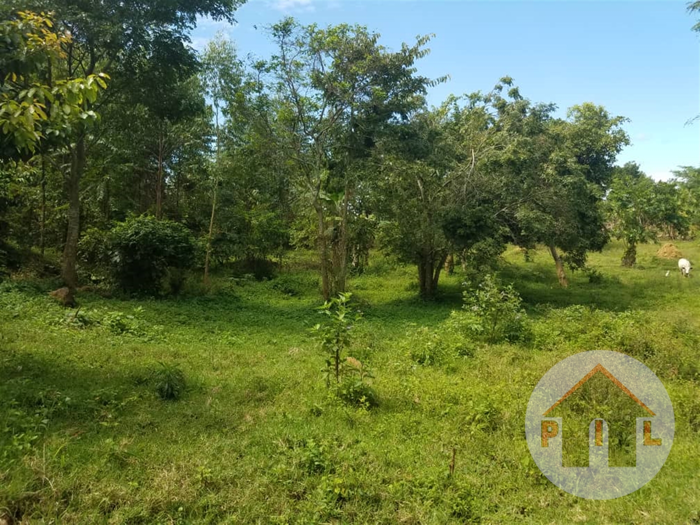 Residential Land for sale in Kawuku Wakiso