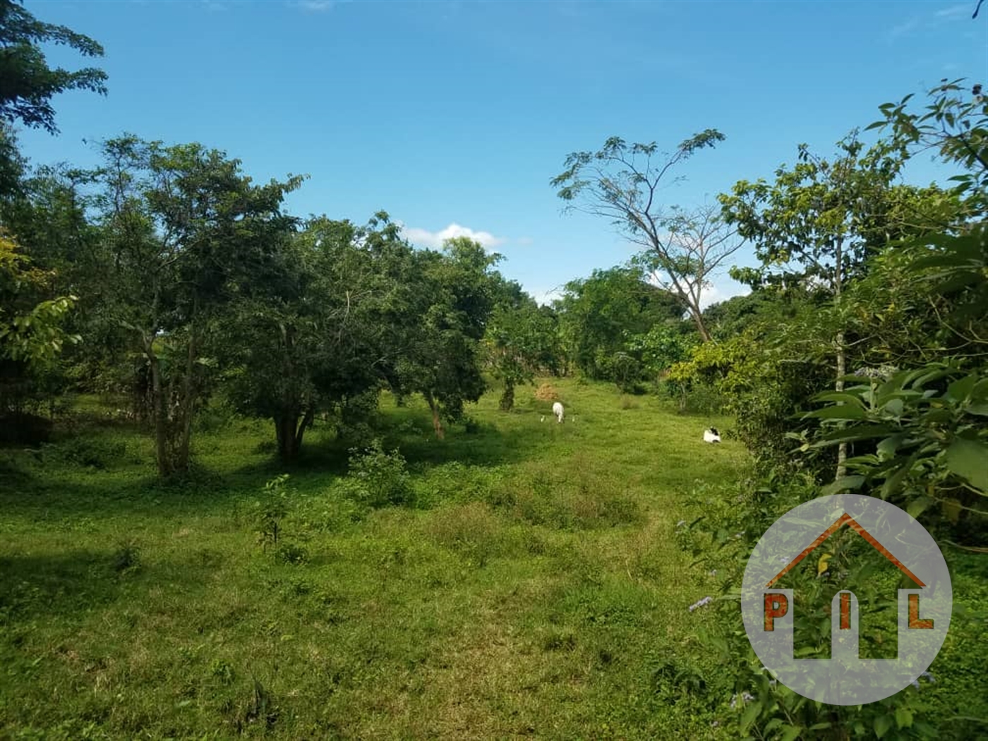 Residential Land for sale in Kawuku Wakiso