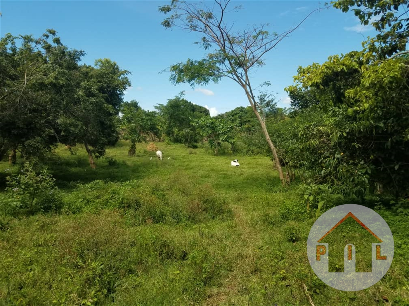 Residential Land for sale in Kawuku Wakiso