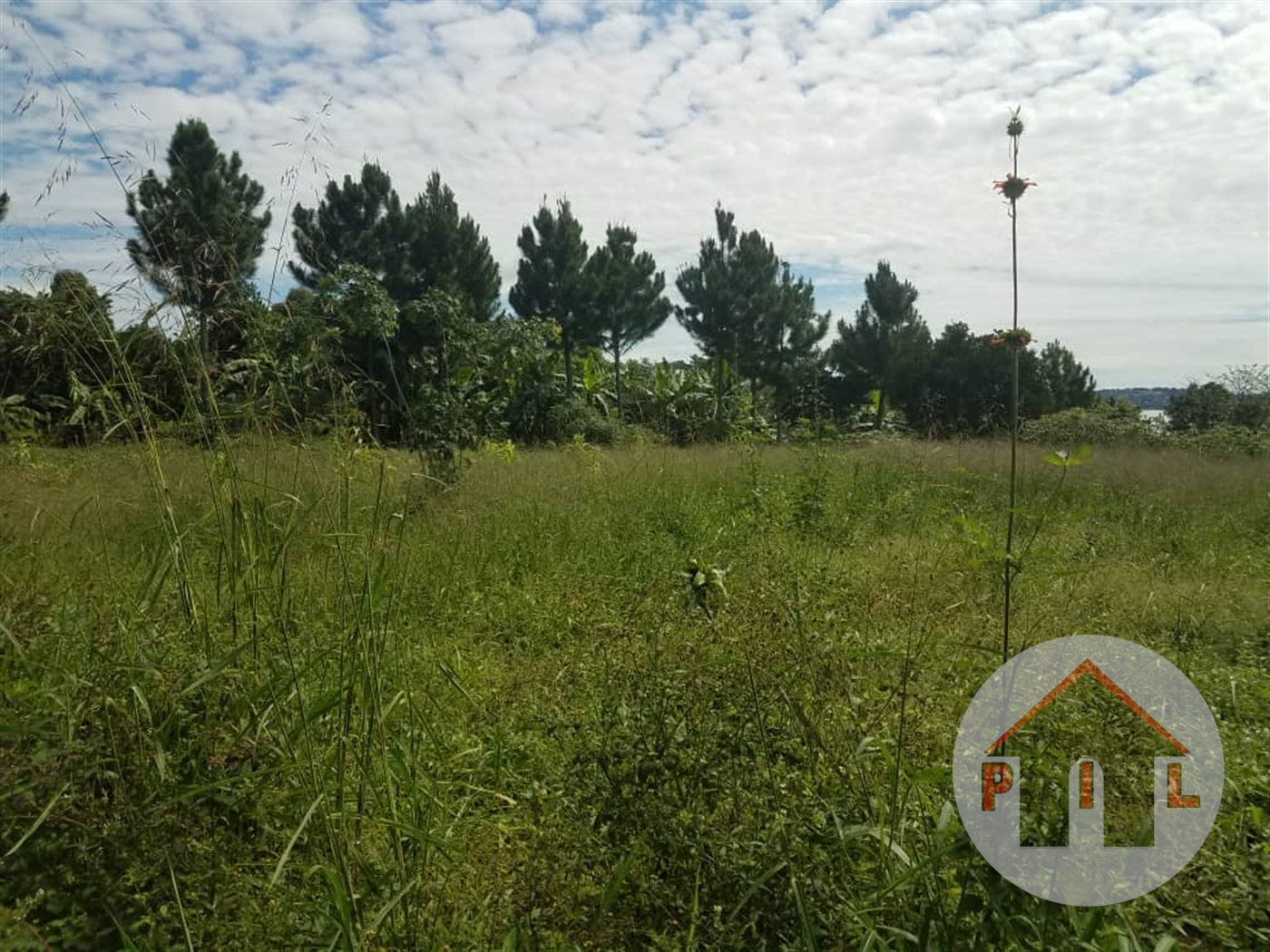 Residential Land for sale in Kawuku Wakiso