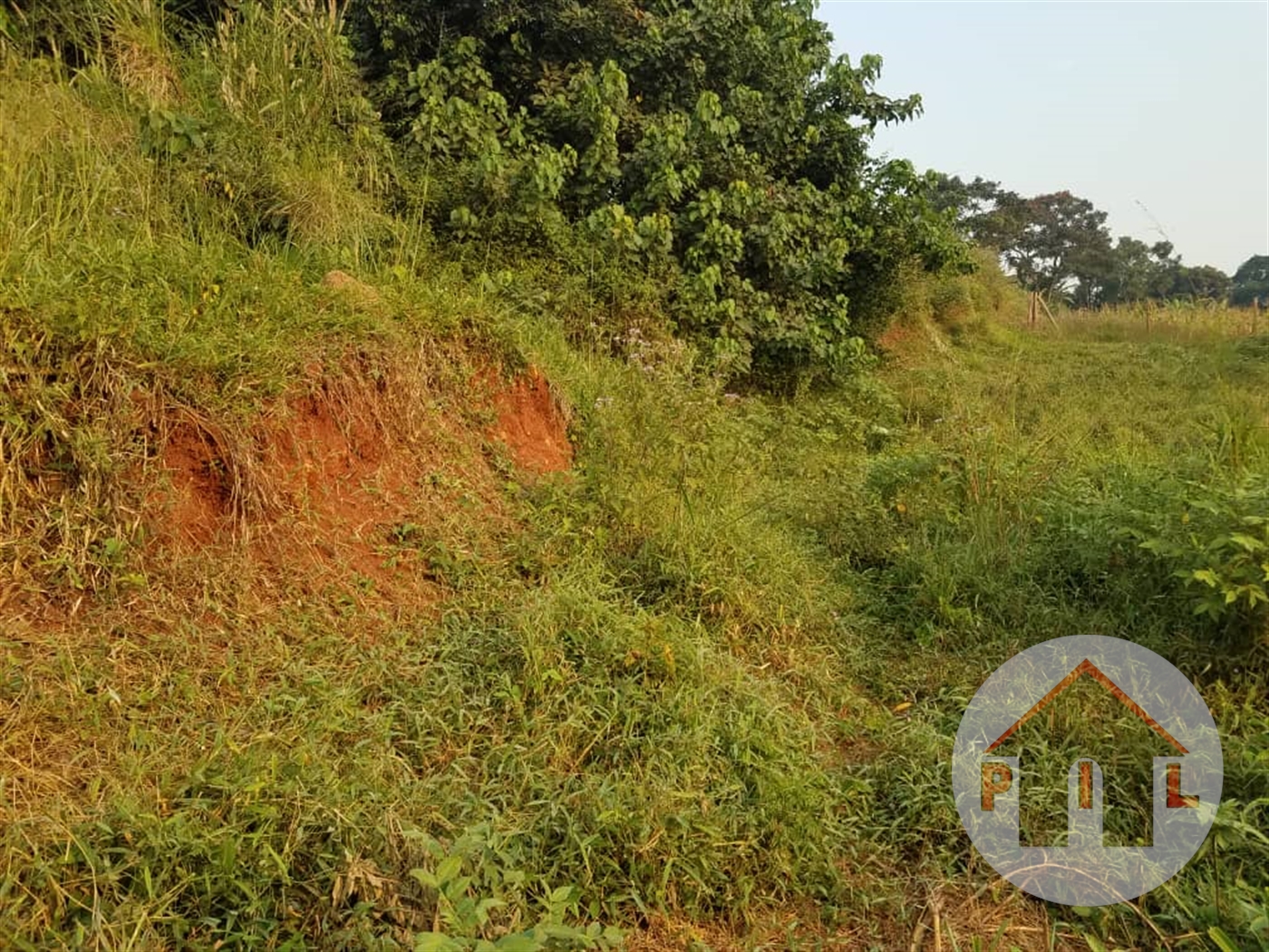 Residential Land for sale in Matugga Wakiso