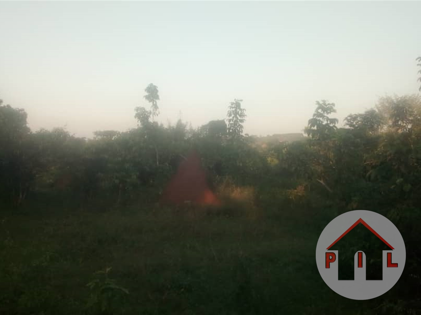 Agricultural Land for sale in Kalule Luweero