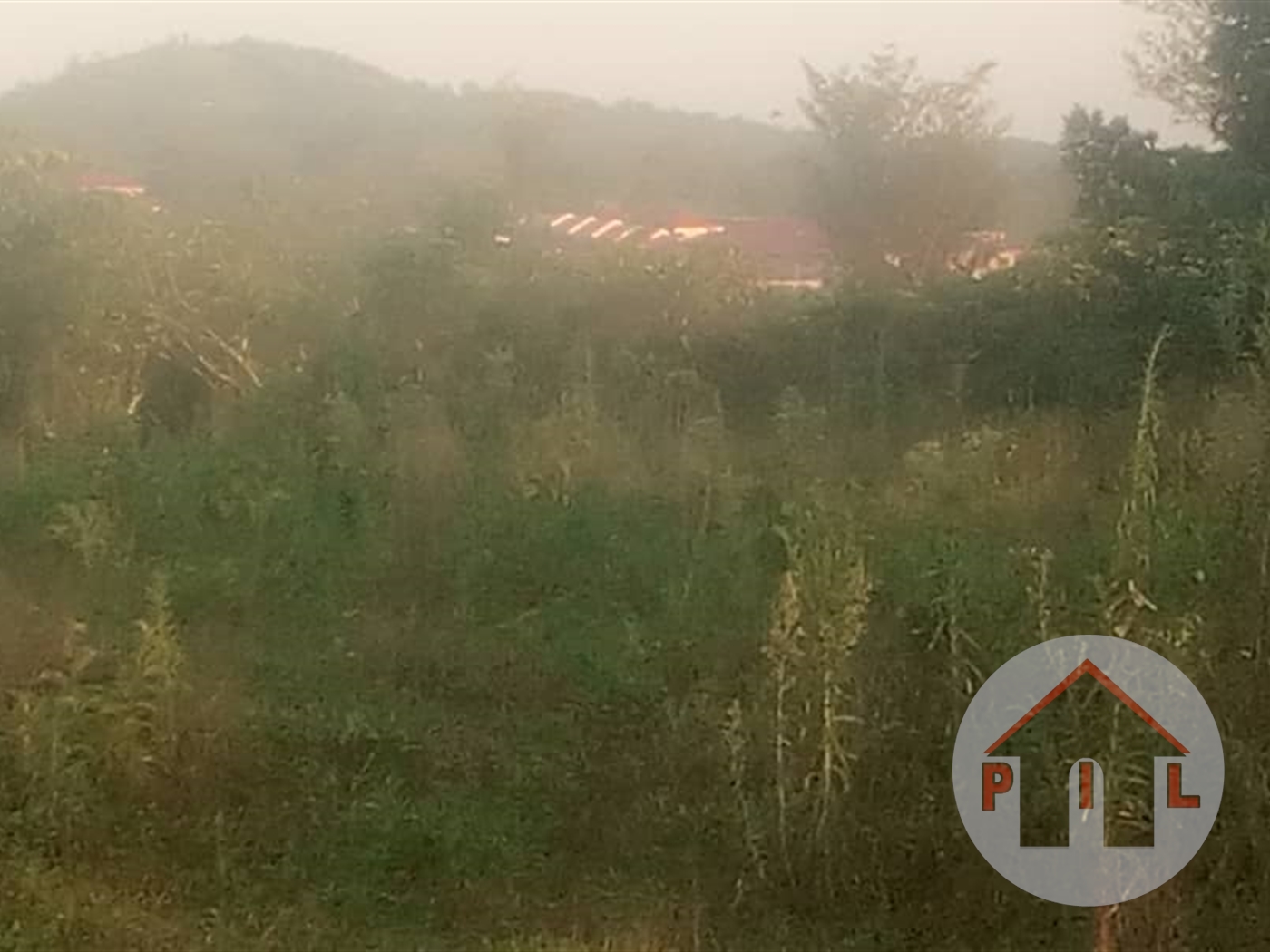 Agricultural Land for sale in Kalule Luweero