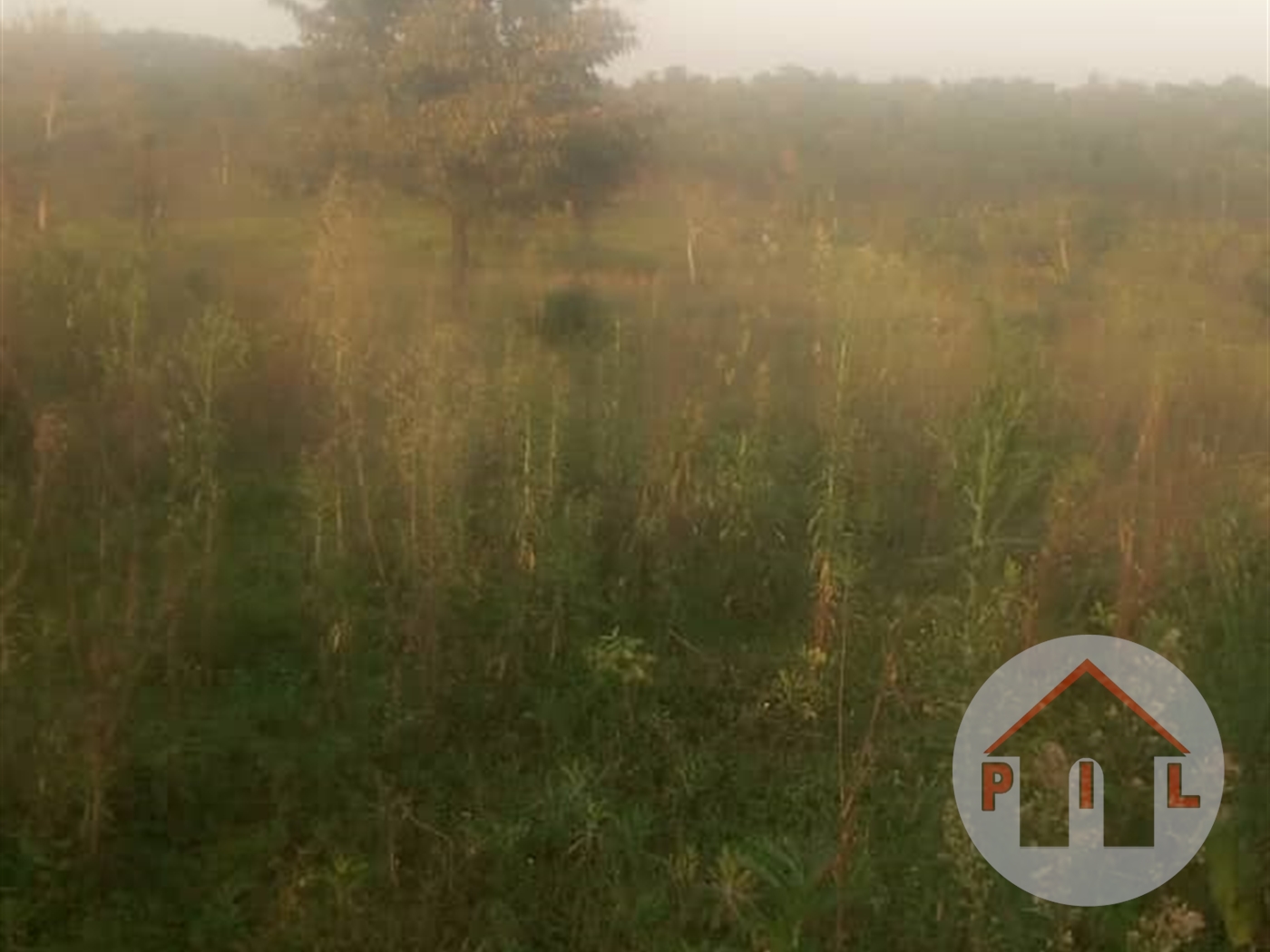 Agricultural Land for sale in Kalule Luweero