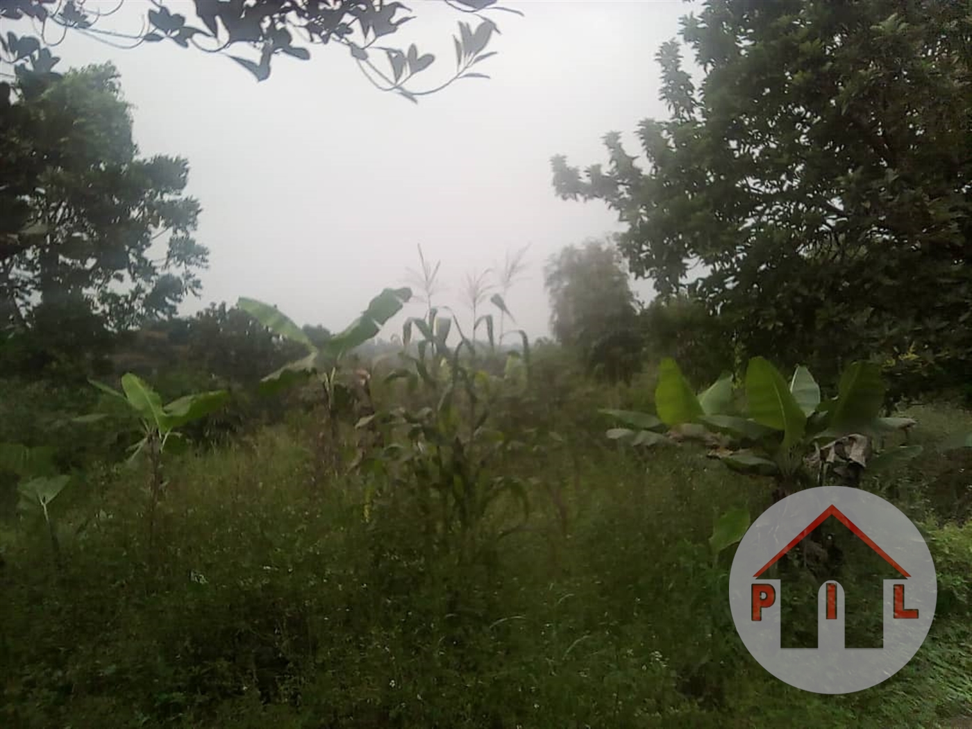 Agricultural Land for sale in Katosi Mukono