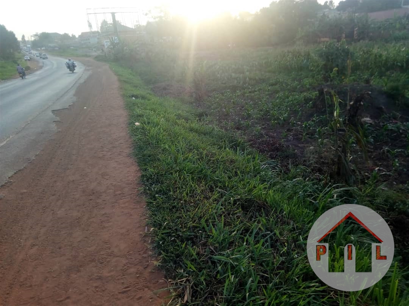 Agricultural Land for sale in Kikonge Mityana