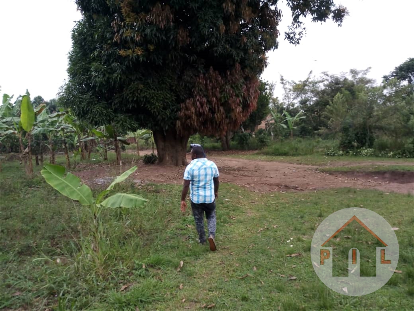 Agricultural Land for sale in Wobulenzi Luweero Uganda, code 57094, 24