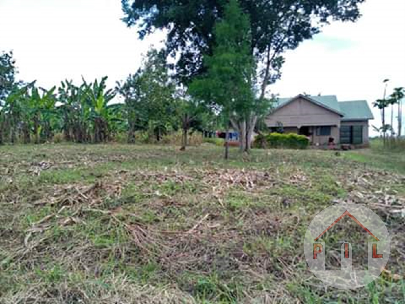 Agricultural Land for sale in Bulami Wakiso