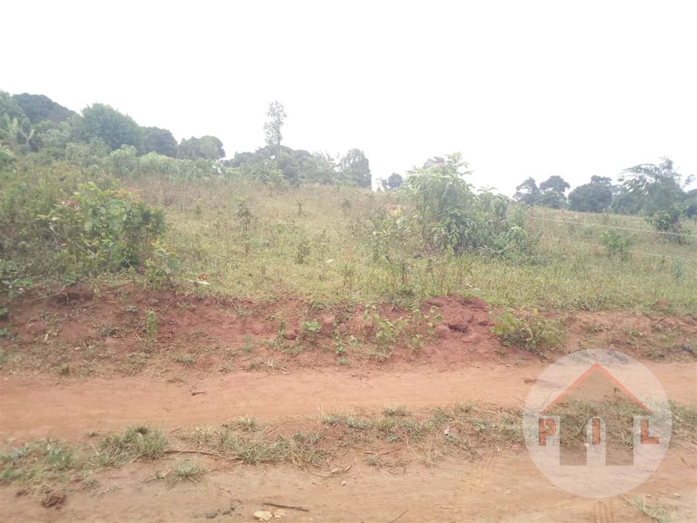 Agricultural Land for sale in Ddundu Wakiso